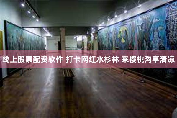 线上股票配资软件 打卡网红水杉林 来樱桃沟享清凉