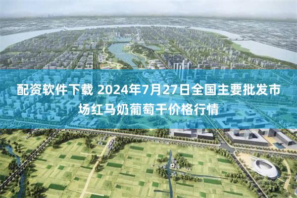 配资软件下载 2024年7月27日全国主要批发市场红马奶葡萄干价格行情