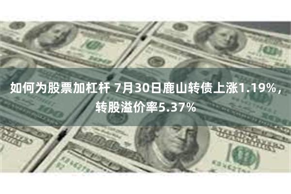 如何为股票加杠杆 7月30日鹿山转债上涨1.19%，转股溢价率5.37%