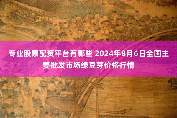 专业股票配资平台有哪些 2024年8月6日全国主要批发市场绿豆芽价格行情