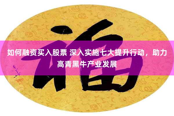 如何融资买入股票 深入实施七大提升行动，助力高青黑牛产业发展