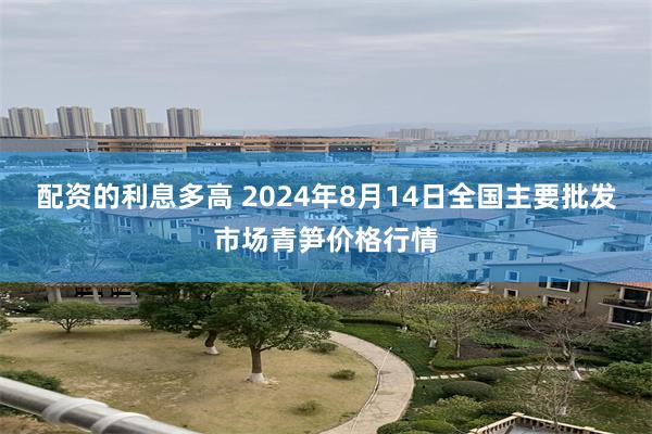 配资的利息多高 2024年8月14日全国主要批发市场青笋价格行情