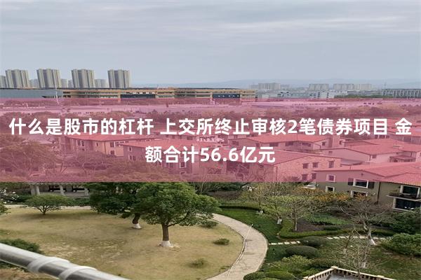 什么是股市的杠杆 上交所终止审核2笔债券项目 金额合计56.6亿元