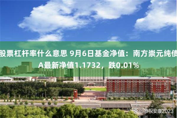 股票杠杆率什么意思 9月6日基金净值：南方崇元纯债A最新净值1.1732，跌0.01%