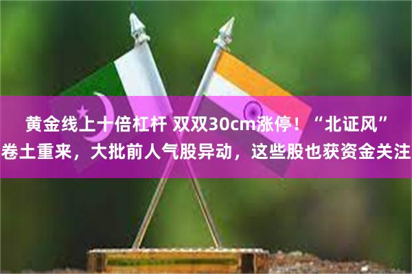 黄金线上十倍杠杆 双双30cm涨停！“北证风”卷土重来，大批前人气股异动，这些股也获资金关注