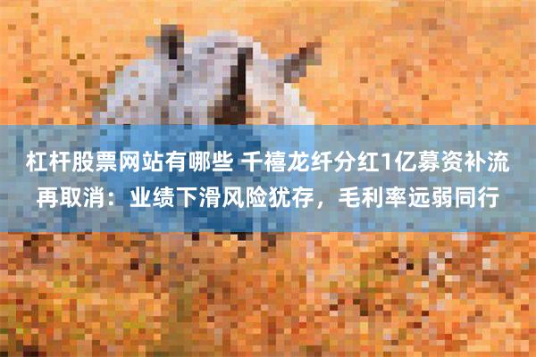 杠杆股票网站有哪些 千禧龙纤分红1亿募资补流再取消：业绩下滑风险犹存，毛利率远弱同行