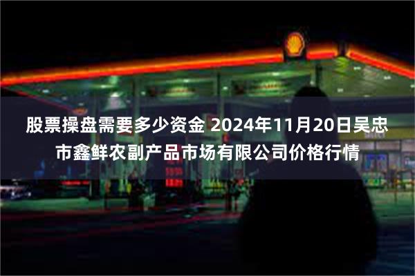 股票操盘需要多少资金 2024年11月20日吴忠市鑫鲜农副产品市场有限公司价格行情