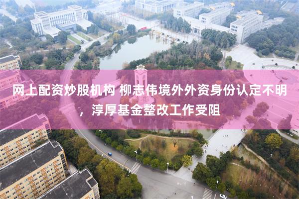 网上配资炒股机构 柳志伟境外外资身份认定不明，淳厚基金整改工作受阻