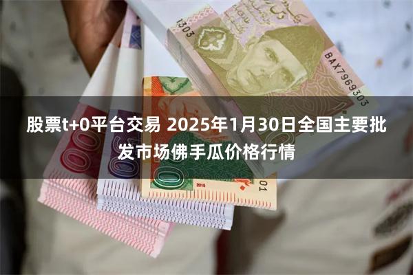 股票t+0平台交易 2025年1月30日全国主要批发市场佛手瓜价格行情