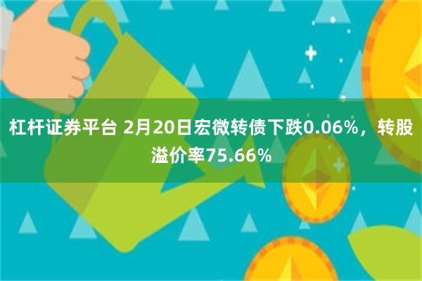 杠杆证券平台 2月20日宏微转债下跌0.06%，转股溢价率75.66%